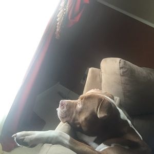 Meet your Posher, Vernon